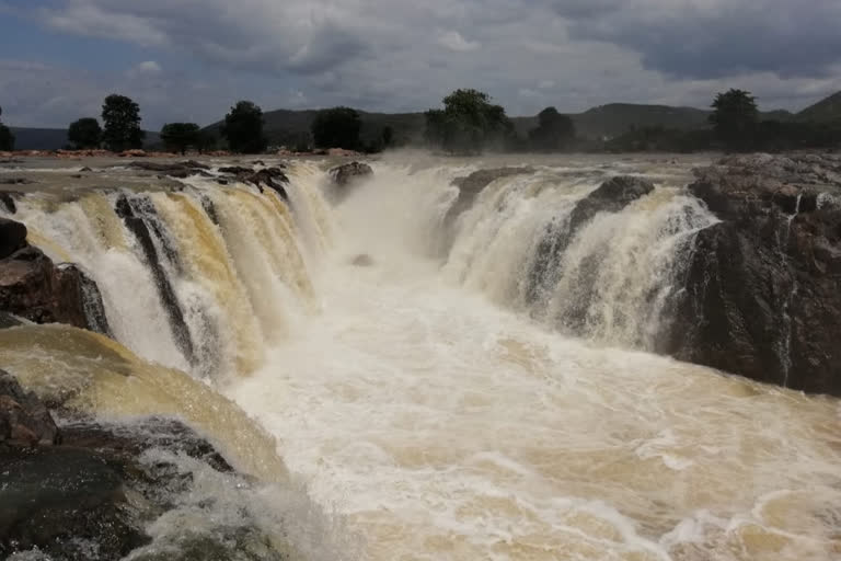 Tourists are not allowed access to the Hogenakkal Falls