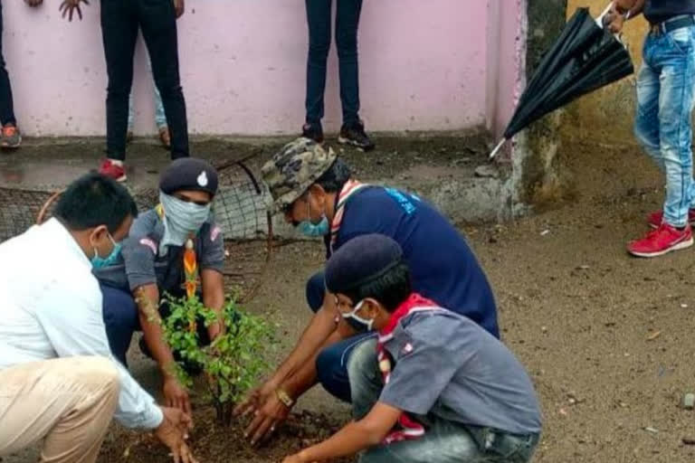 People planting trees