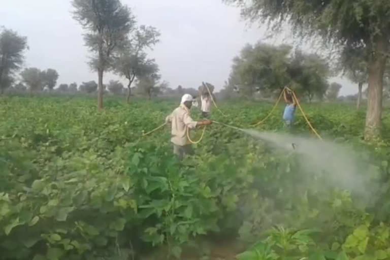 Pesticide ban will not affect crops and vegetables