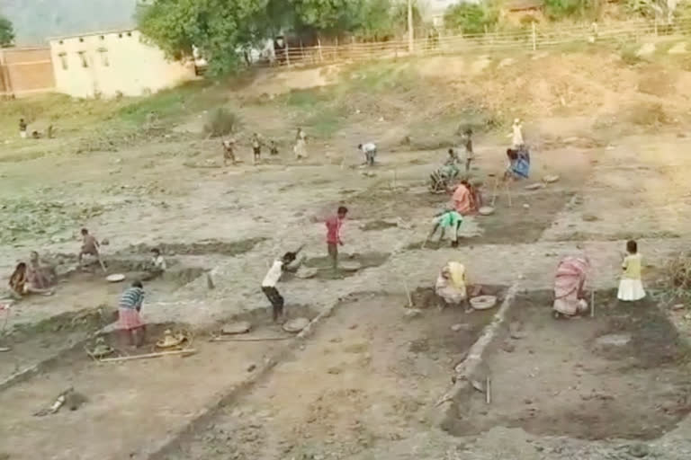 More than 1 lakh 4 thousand laborers got work under MGNREGA in Raigarh