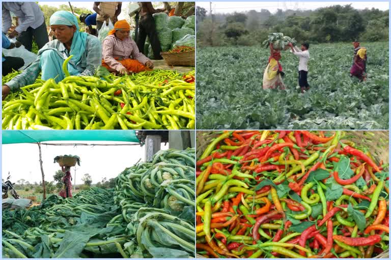Farmers are forced to sell vegetables at low prices
