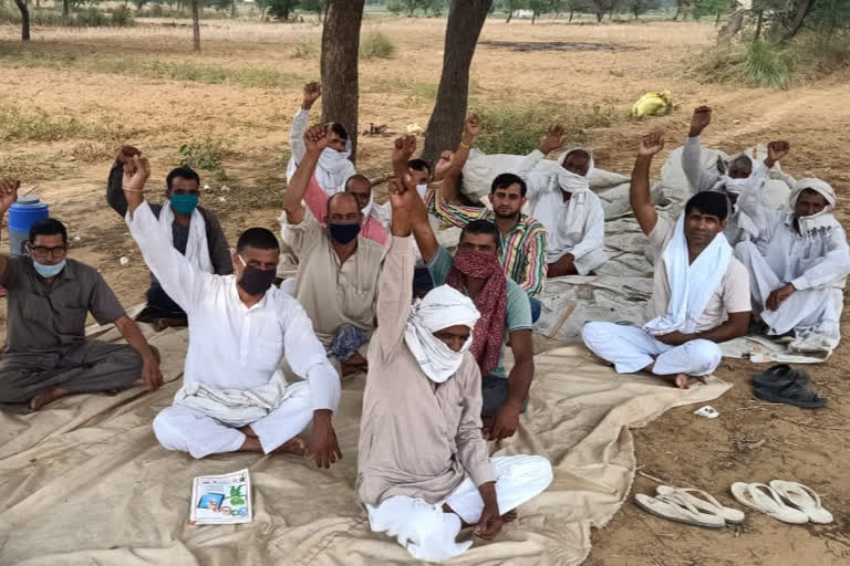 tomato growing farmers protest in charkhi dadri