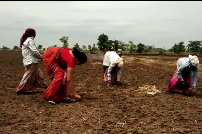 decision to come village and start farming as business has come to a standstill in pune