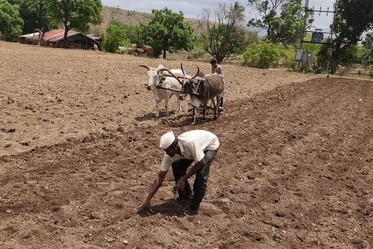 Pre monsoon farming activities started in dindori taluka nashik