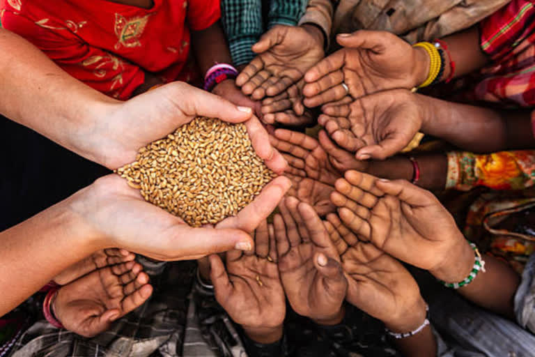 Free foodgrains reach to only 20.26 lakh migrants so far: Govt data