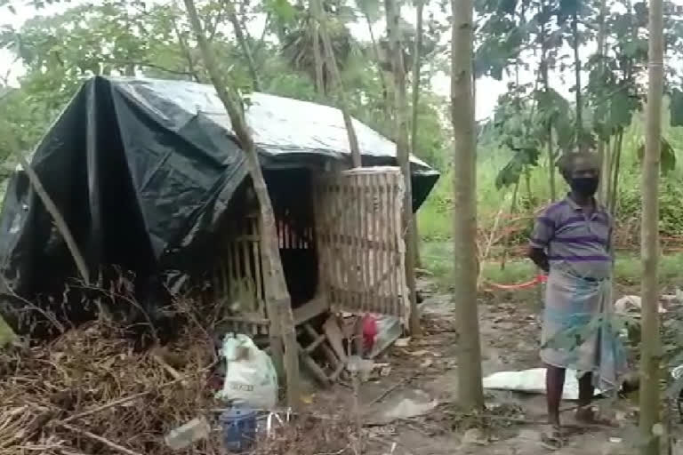 quarantine center in the forest tent