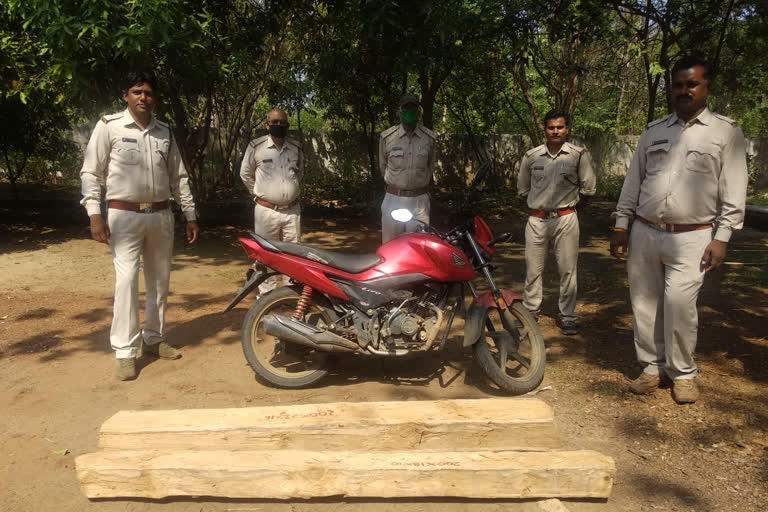 Forest department takes action against teak smugglers in itarsi of hoshangabad