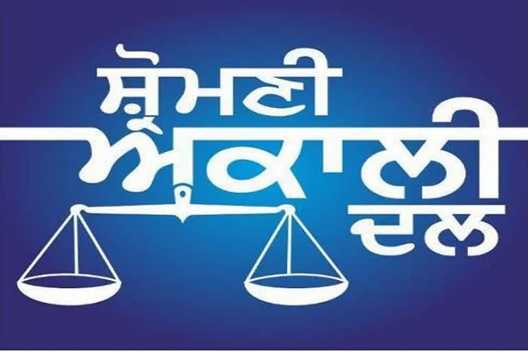 chandigarh , akali dal , liquor scam, daljeet singh cheema