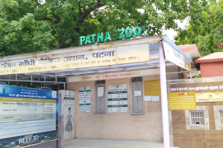 patna