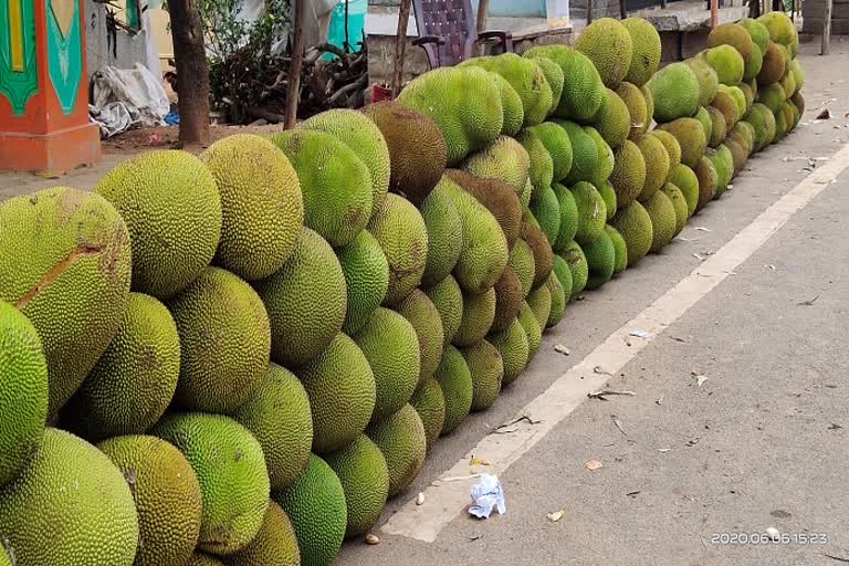 jack fruits