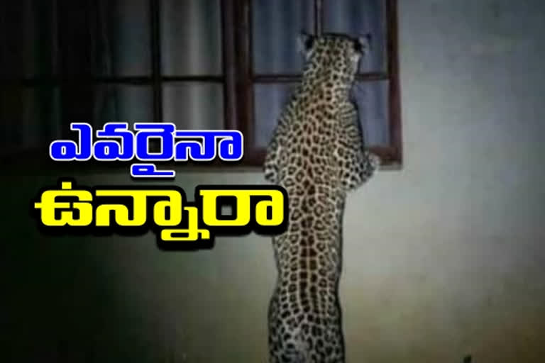 chirutha