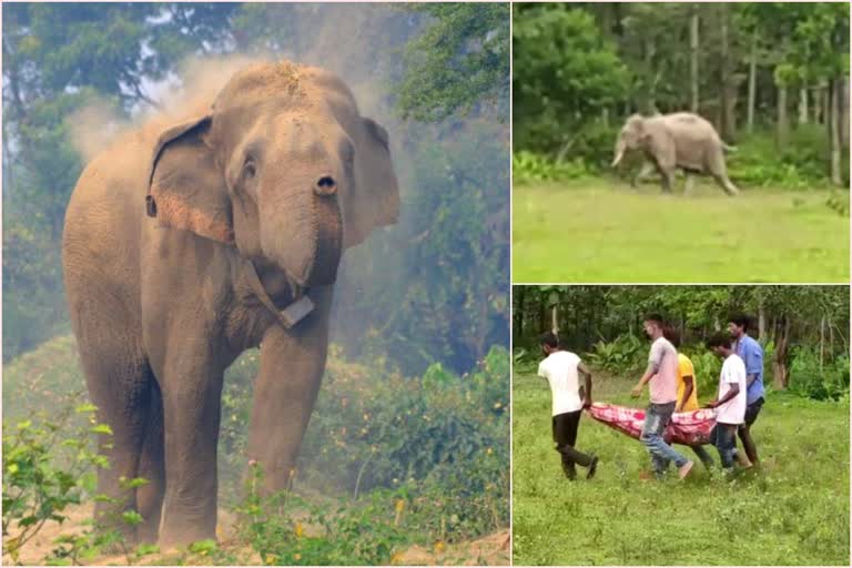 Man trampled to death by tusker in Bengal