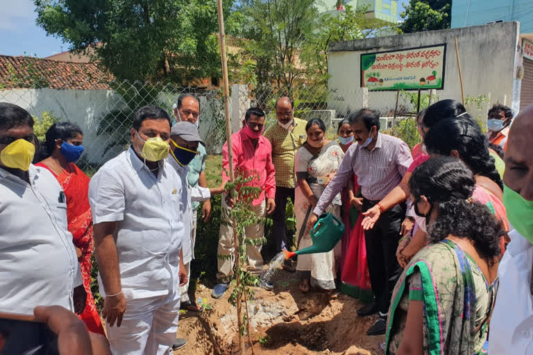 medchal collector participated haritha haram program