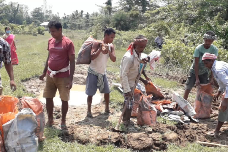 Embankment developed by Barhampur local People