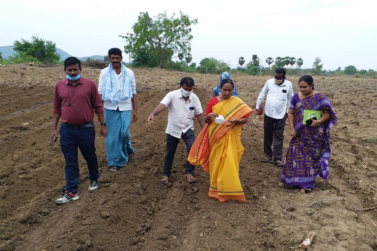 Examination of Agricultural Officers in Khammam District