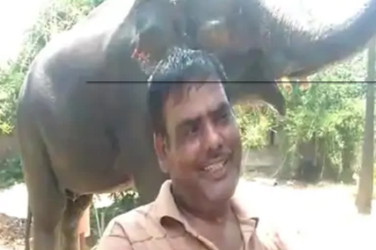 patna man register 5 crore properties on elephants name