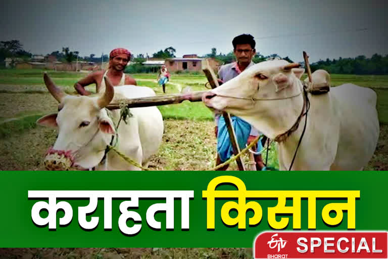 farmers of bihar