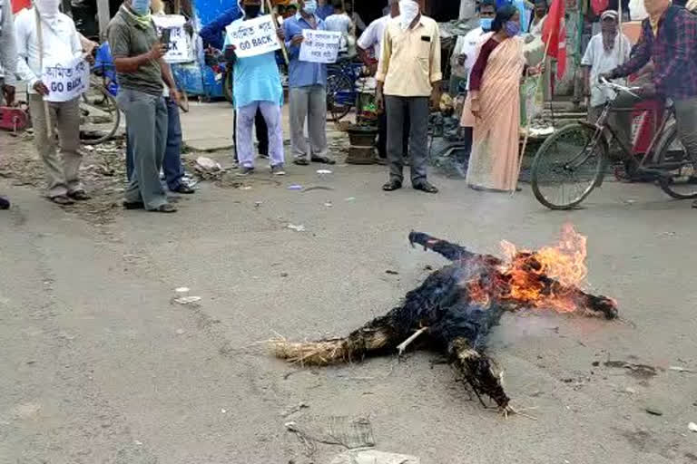 cpi(m) burnt shah and modi effigy