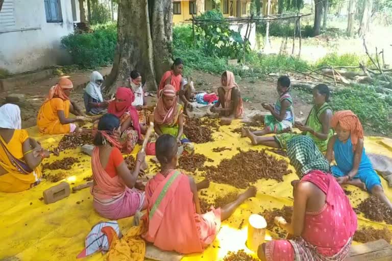 tamarind in bastar