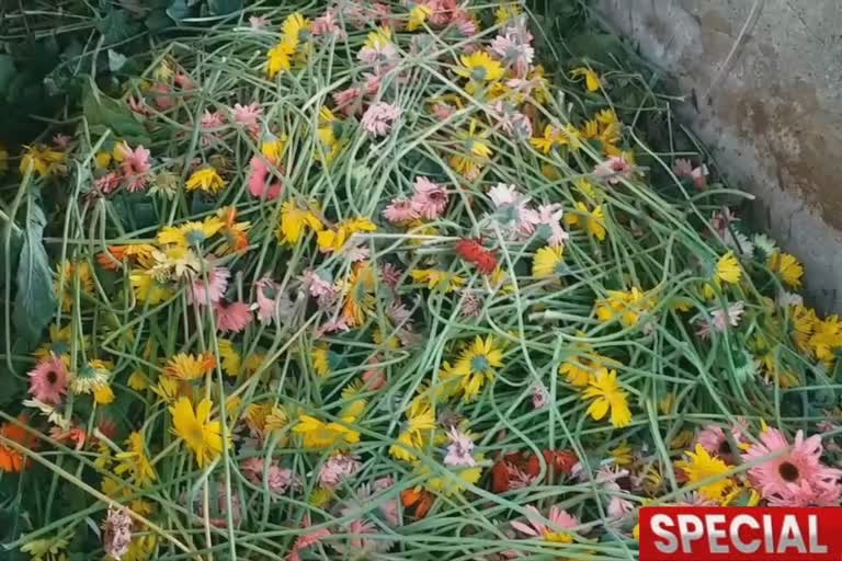 Flower farmers