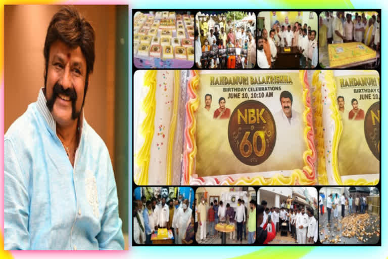 hero balakrishna birthday celebrations