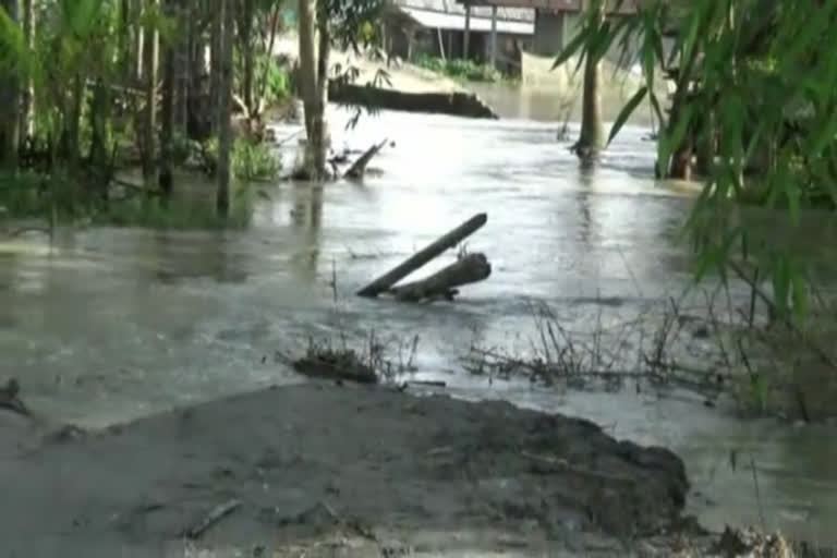 assam-floods-siang-embankment-danger-mark