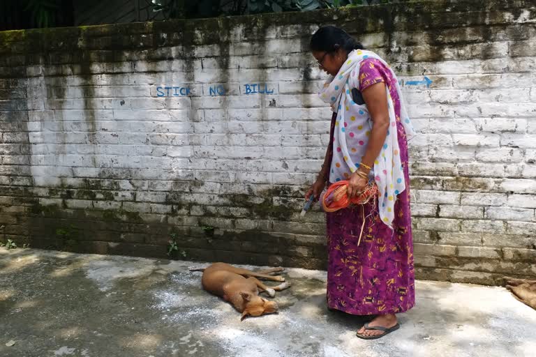 কুুকুরের মৃত্যু