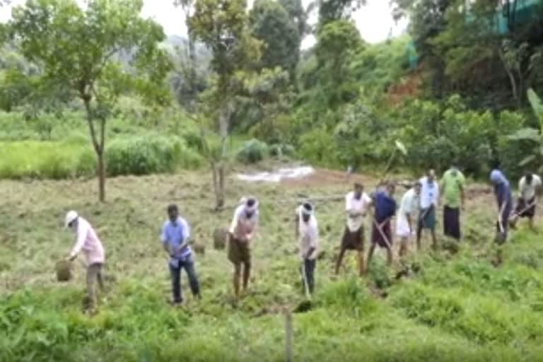 ജൈവകൃഷി വ്യാപന പദ്ധതി  ഇടുക്കി കെയർ ഫൗണ്ടേഷൻ  രാജകുമാരി പഞ്ചായത്ത്  സുഭിക്ഷ കേരളം പദ്ധതി  ഇടുക്കി എം.പി അഡ്വ. ഡീൻ കുര്യാക്കോസ്  Idukki  Idukki Care Foundation  Organic Farming Expansion Project