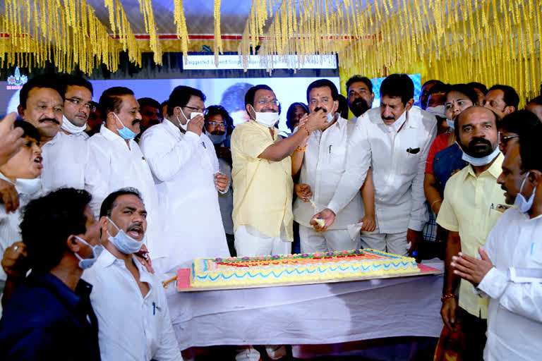 bala krishna birthday celebrations at nelore