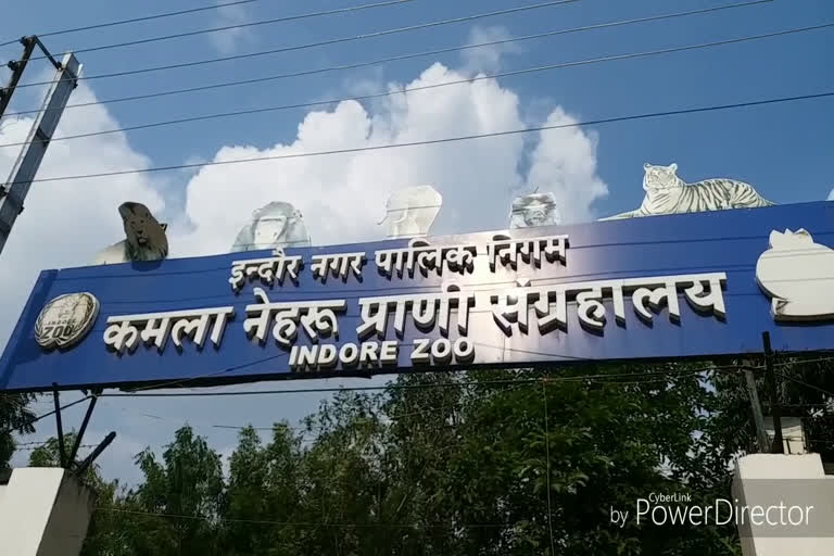 indore zoo