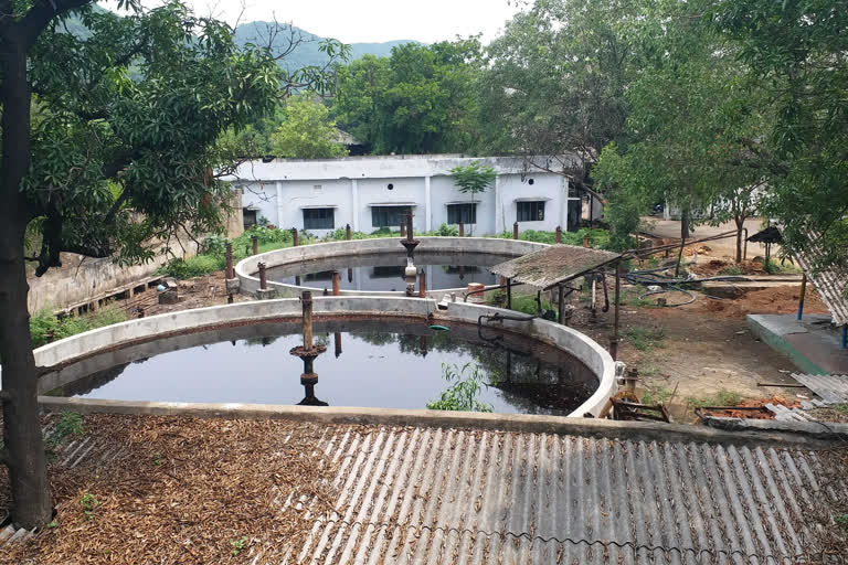 molasis storage become water pools in visakha dst chodavaram mandal govada