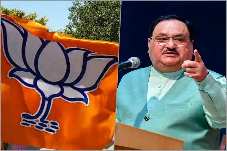 JP Nadda news, jaipur news, first virtual ralley of BJP, virtual ralley news, भाजपा की  वर्चुअल रैली, जेपी नड्डा न्यूज, जयपुर न्यूज, भाजपा अभियान न्यूज, सतीश पूनिया न्यूज