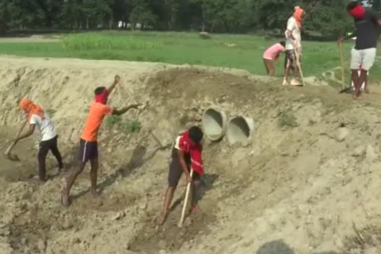 educated youth working in mgnrega in chauri chaura tehsil in gorakhpur