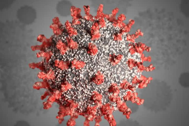 Wayanad  Covid  Corona virus  4 people tested positive for covid  foreign returnee  വയനാട്  കൊവിഡ്  കൊറോണ വൈറസ്  നാല് പേർക്ക് കൂടി കൊവിഡ്  വിദേശത്ത് നിന്ന് തിരികെയെത്തിയവർ