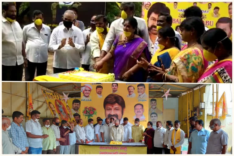 nandamuri balakrishna birthday celebrations at hyderabad