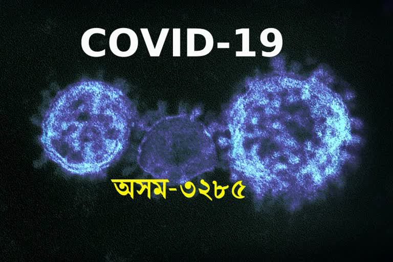 193 new covid-19 positive case found in assam