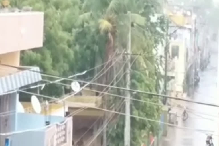 rain in kadapa