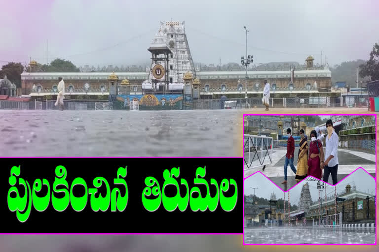 rain in tirumala