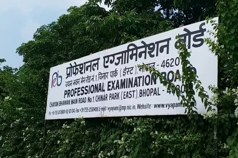 Professional examination board
