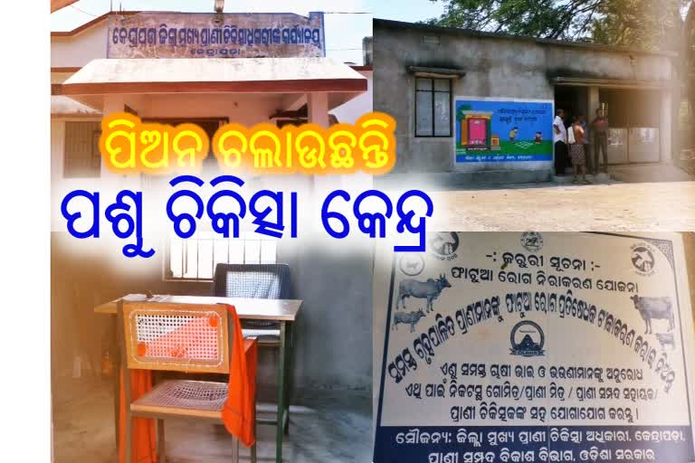 vetenary-center-issue-in-kendrapada-doctor-not-coming-to-the-office