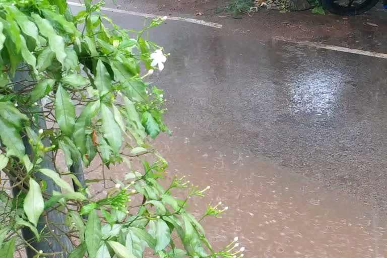 Monsoon reached Chhattisgarh Raipur Meteorological Department confirmed