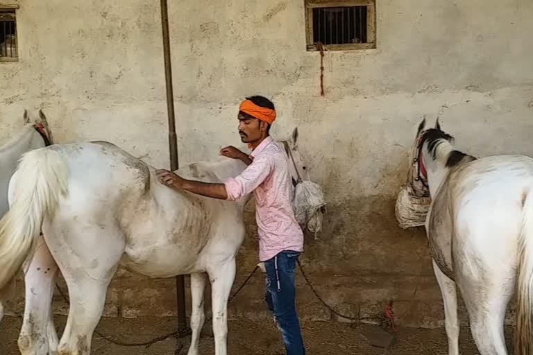 Horsemen surrounded by economic crisis in Khargone district