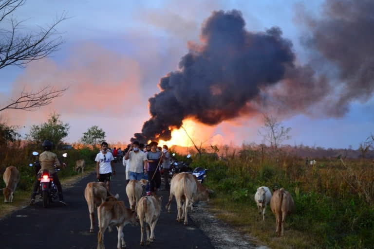 Assam gas well blowout