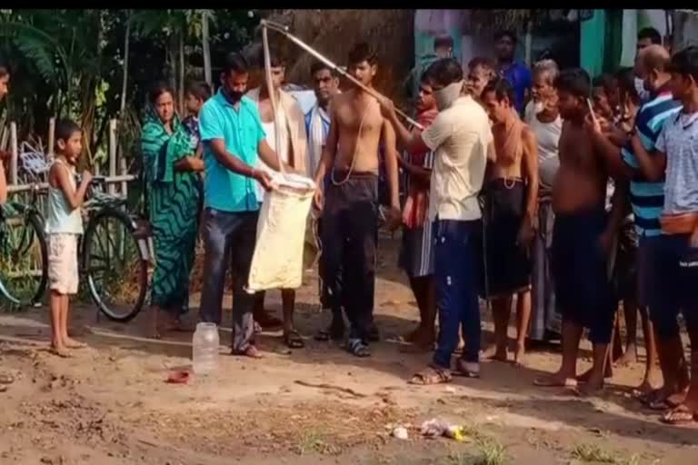 rescue-of-poisonous-snakes-in-bhadrak