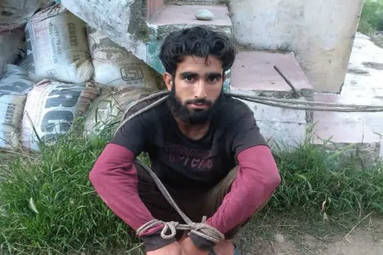 one Lashkar-e-Taiba (LeT) terrorist from Khojpura in District Shopian