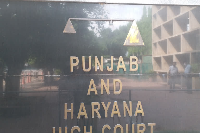 punjab haryana high court