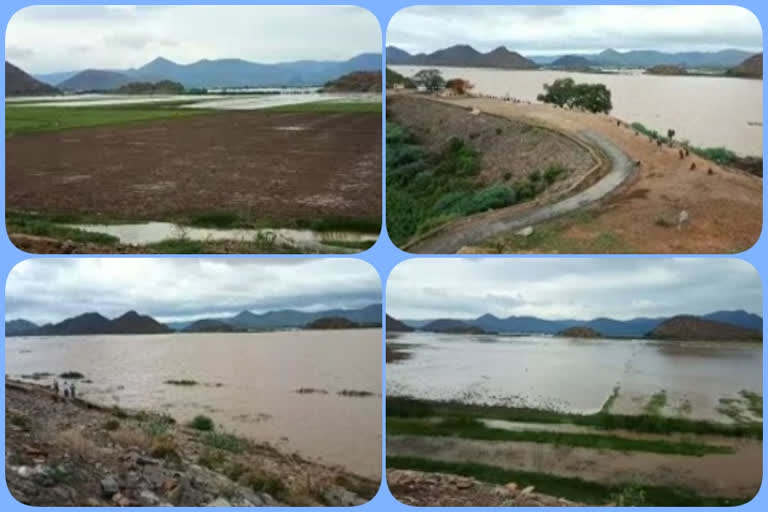 water fullfilled in ponds at  cumbum in prakasham district