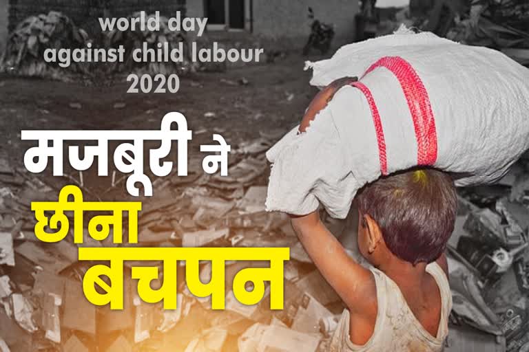 Kumari Selja and Abhay Chautala tweeted on World Children Day