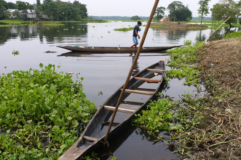 A village immersed in flood during rainy days in Nalbari