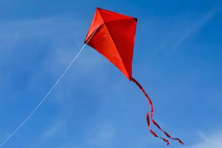 kites